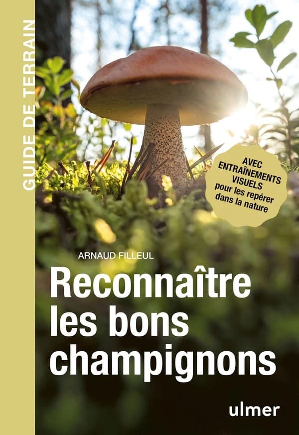Reconnaître les bons champignons : guide de terrain : avec entraînements visuels pour les repérer dans la nature