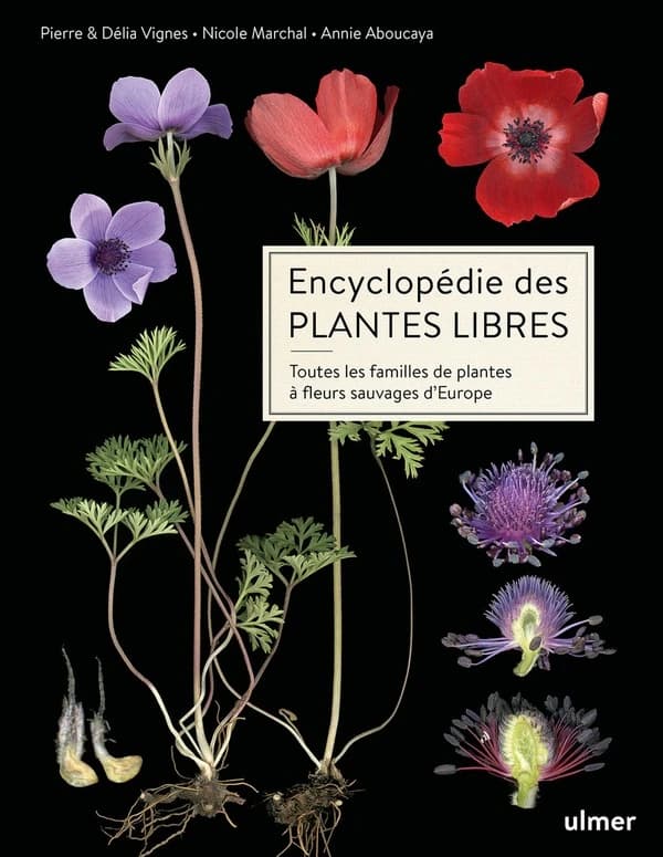 Encyclopédie des plantes libres : toutes les familles de plantes à fleurs sauvages d'Europe