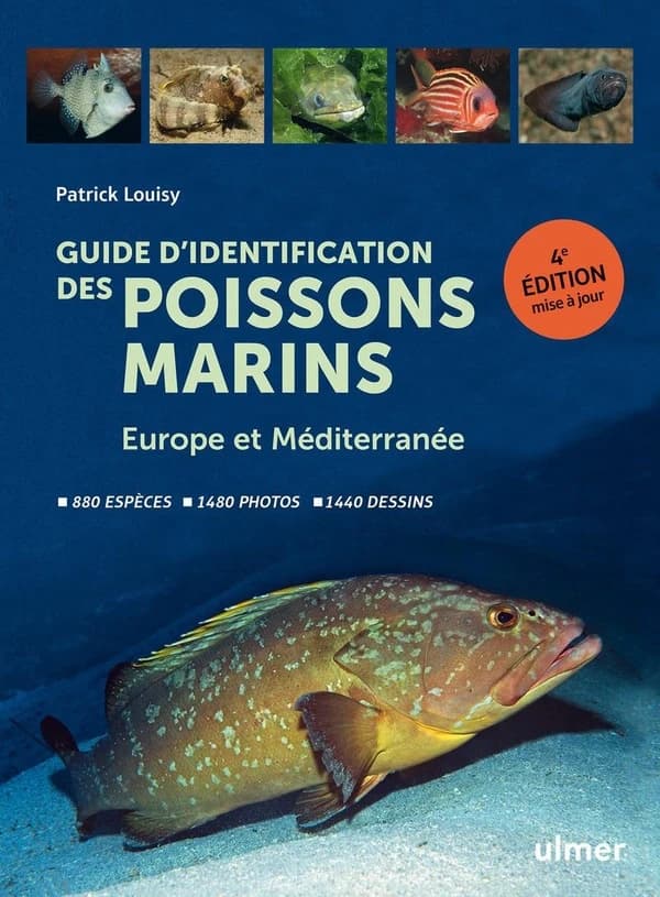 Guide d'identification des poissons marins : Europe et Méditerranée : 880 espèces, 1480 photos, 1440 dessins (4e éd. éd. mise à jour) Patrick Louisy