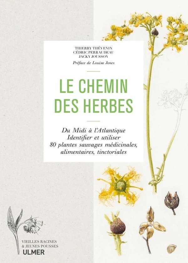 Le chemin des herbes : du Midi à l'Atlantique . identifier et utiliser 80 plantes sauvages médicinal