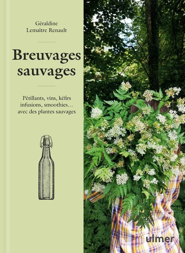 Breuvages sauvages : Pétillants, vins, kéfirs, infusions, smoothies ... avec des plantes sauvages