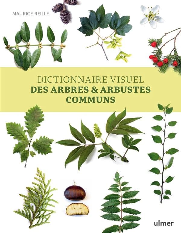 Dictionnaire visuel des arbres & arbustes communs ([Nouvelle éd.]) Maurice Reille