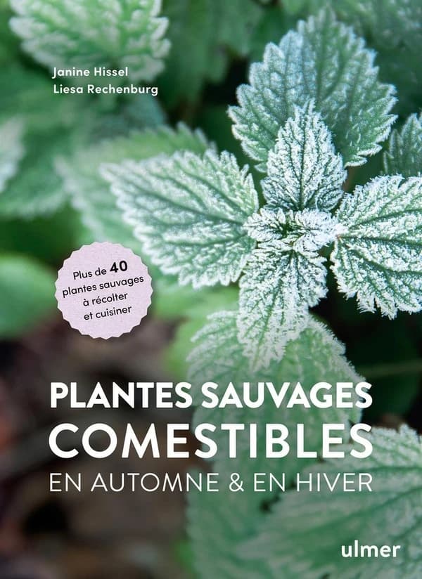 Plantes sauvages comestibles en automne & en hiver