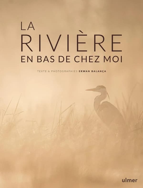 La rivière en bas de chez moi