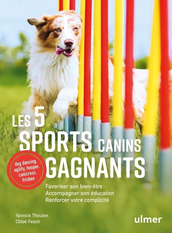 Les 5 sports canins gagnants : favoriser son bien-être, accompagner son éducation, renforcer votre complicité