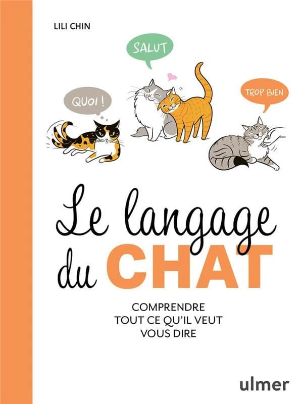Le langage du chat : comprendre tout ce qu'il veut dire