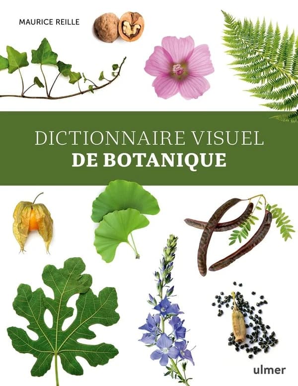 Dictionnaire visuel de botanique (Nouvelle éd.)