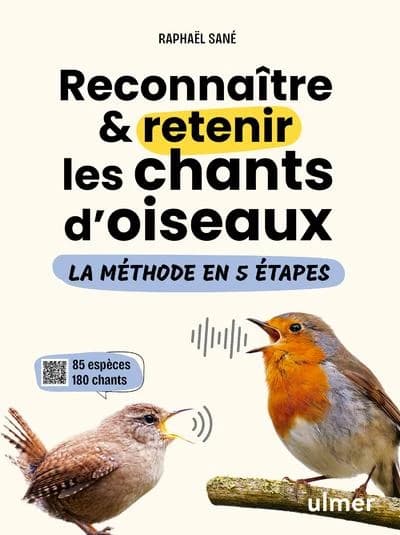Reconnaître & retenir les chants d'oiseaux : la méthode en 5 étapes