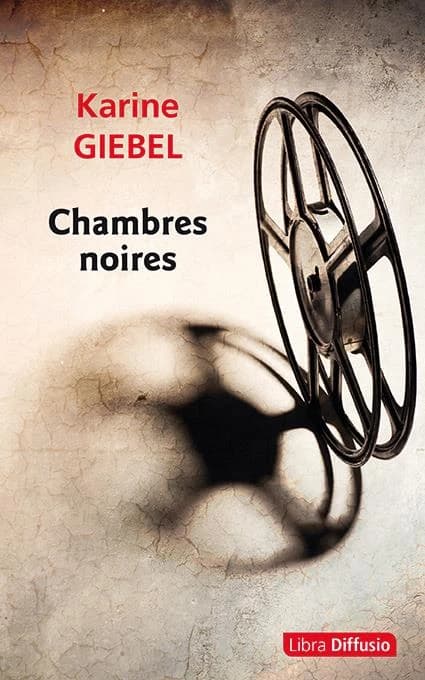 Chambres noires : nouvelles ([Éd. en gros caractères]) Karine Giebel