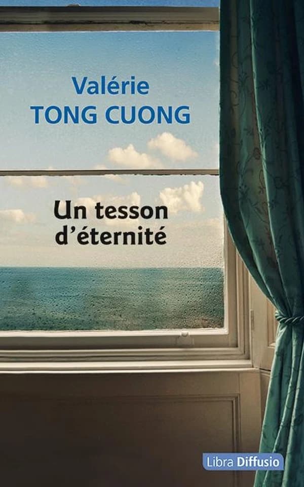 Un tesson d'éternité : roman ([Éd. en gros caractères]) Valérie Tong Cuong