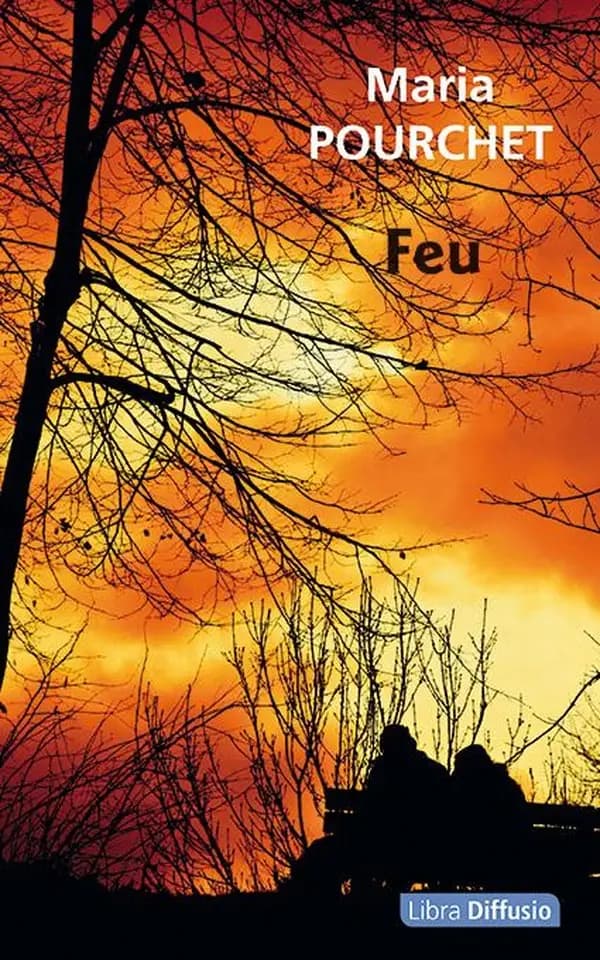 Feu : roman ([Éd. en gros caractères]) Maria Pourchet