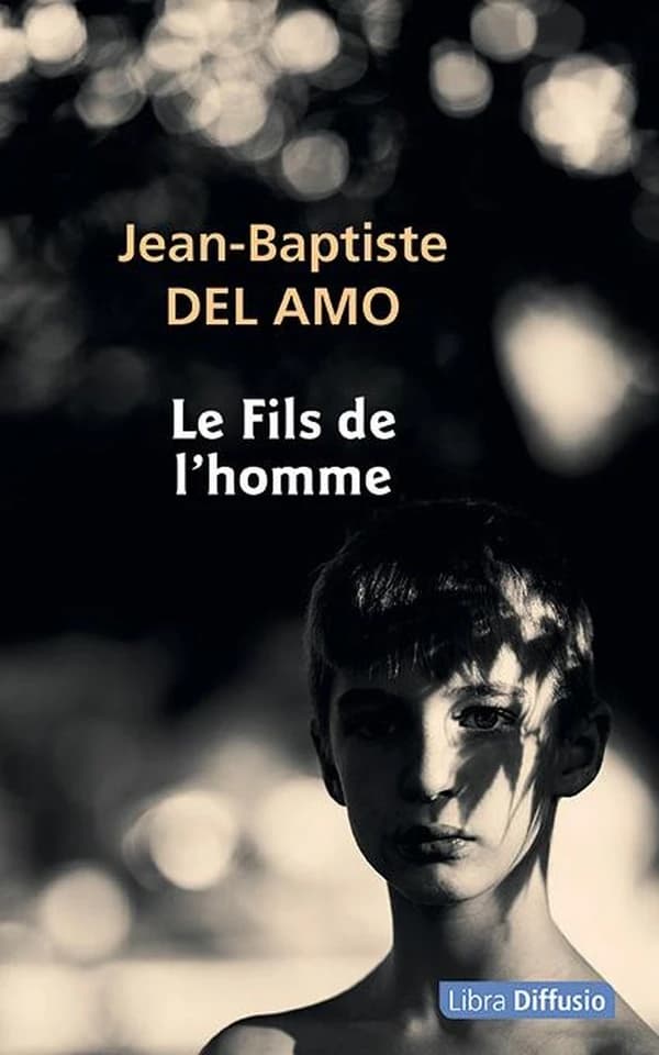 Le fils de l'homme : roman ([Éd. en gros caractères]) Jean-Baptiste Del Amo