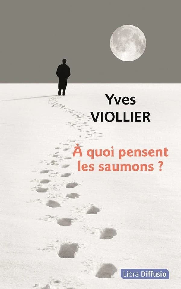 À quoi pensent les saumons ? : roman ([Éd. en gros caractères]) Yves Viollier