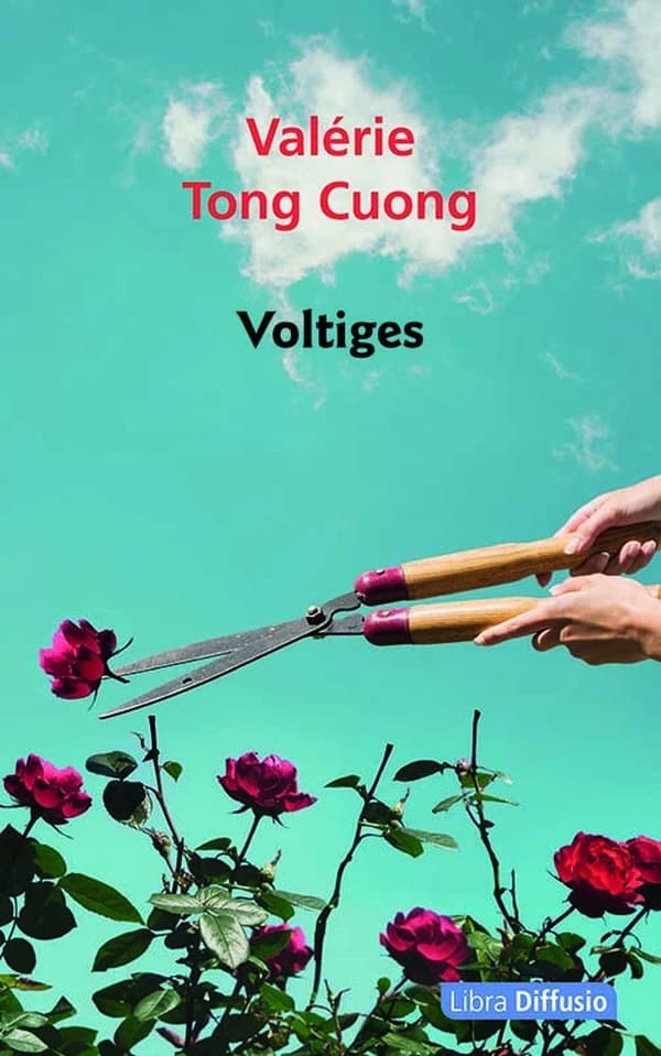 Voltiges : roman ([Éd. en gros caractères]) Valérie Tong Cuong