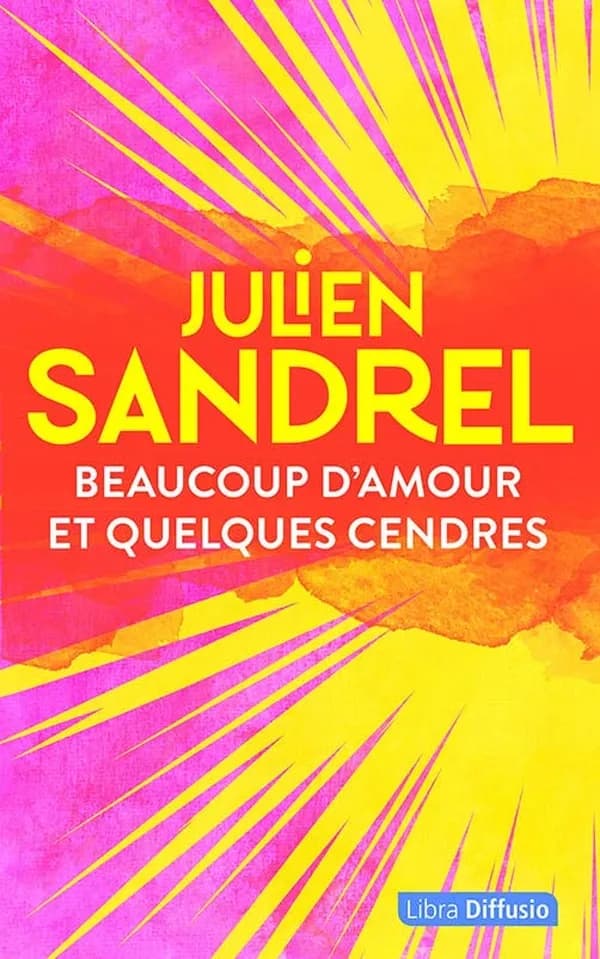 Beaucoup d'amour et quelques cendres : roman ([Éd. en gros caractères]) Julien Sandrel