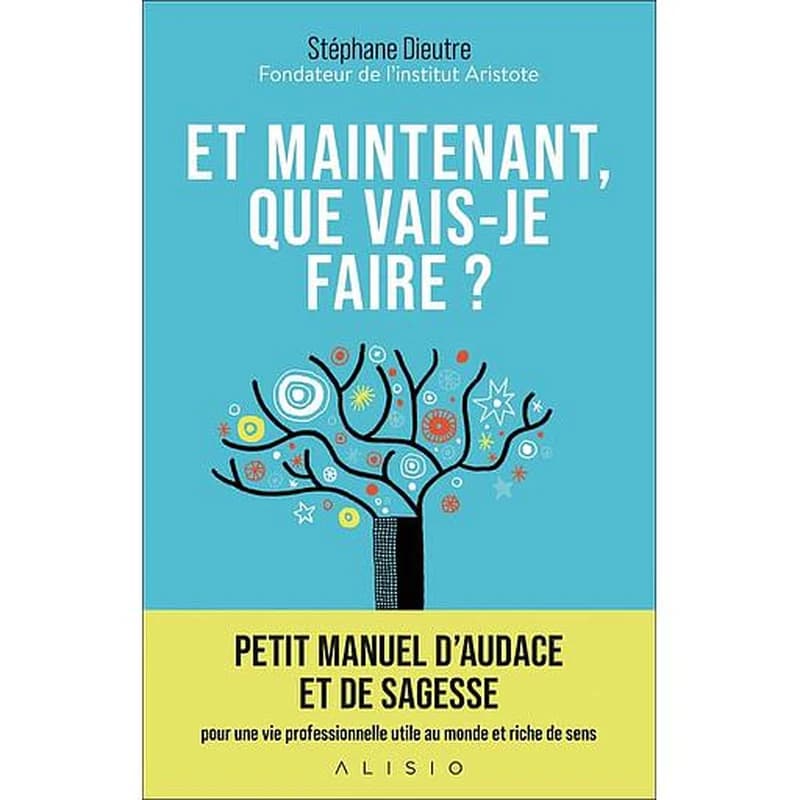 Et maintenant que vais-je faire ? : petit manuel d'audace et de sagesse pour une vie professionnelle utile au monde et riche de sens