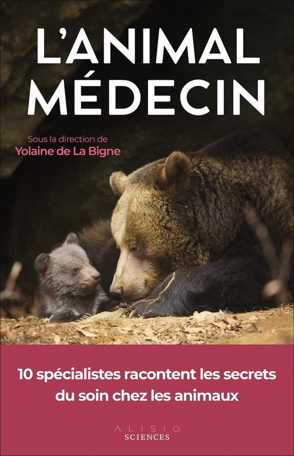 L'animal médecin : les secrets du soin chez les animaux
