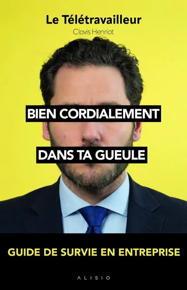 Bien cordialement dans ta gueule : guide de survie en entreprise