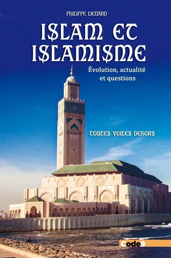 Islam et islamisme : évolution, actualité et questions : toutes voiles dehors