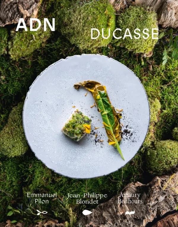 ADN Ducasse : Emmanuel Pilon, Jean-Philippe Blondet, Amaury Bouhours