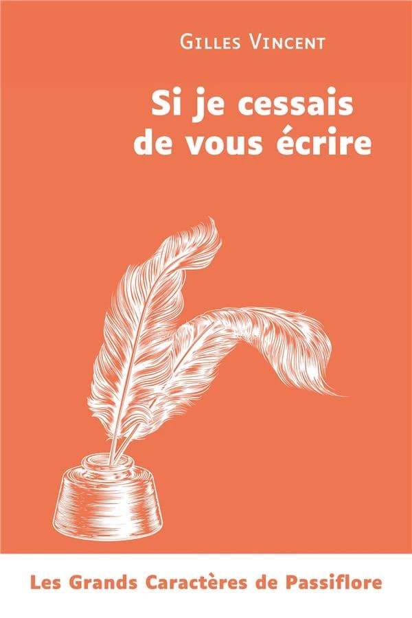 Si je cessais de vous écrire : roman ([Éd. en] grands caractères) Gilles Vincent