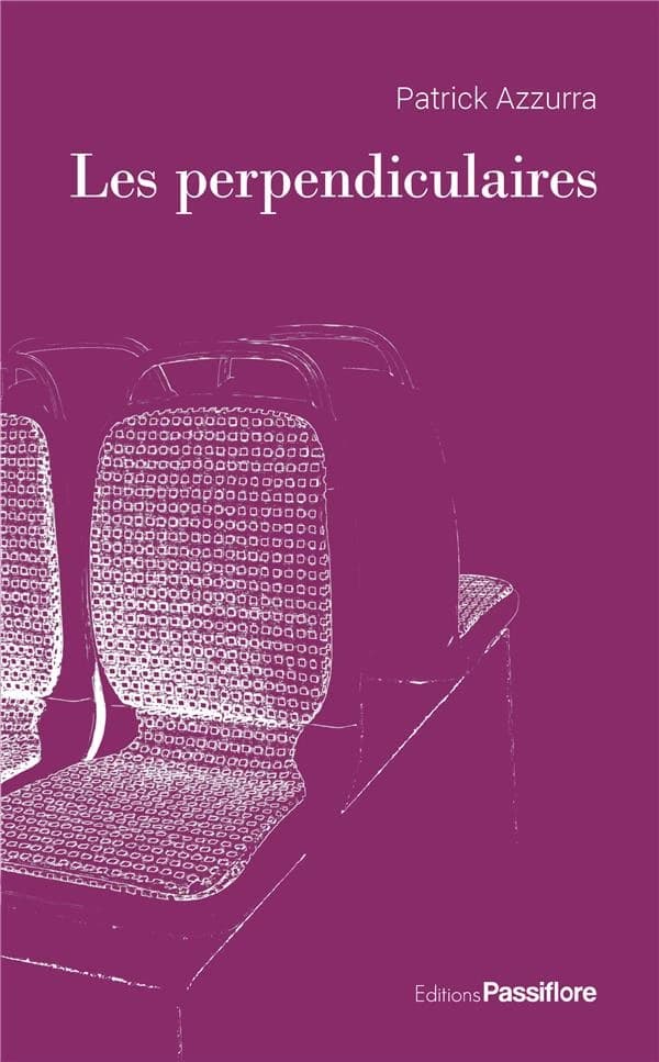 Les perpendiculaires : roman
