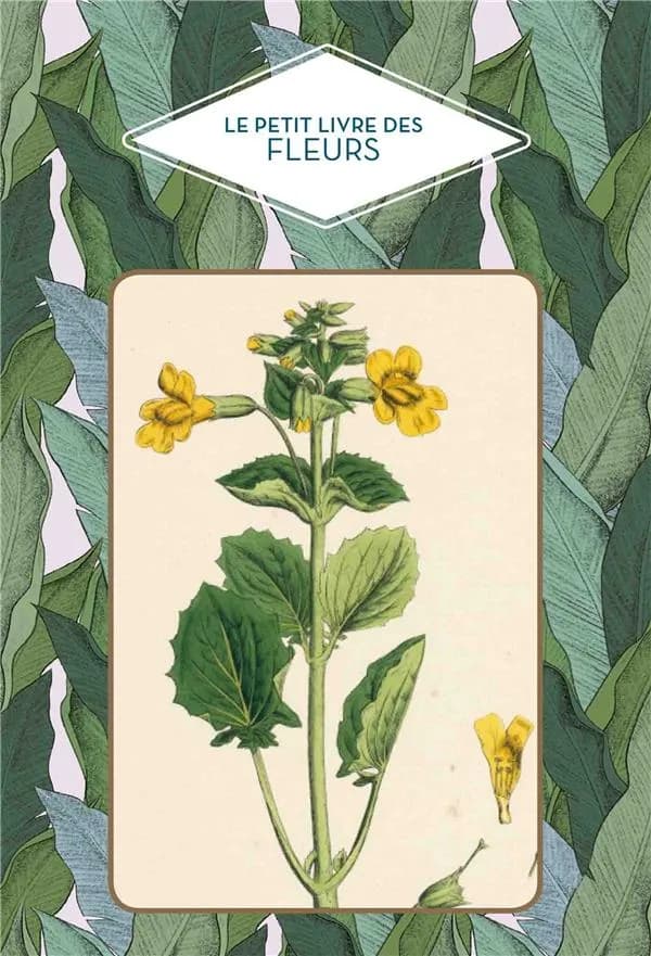 Le petit livre des fleurs ([Nouvelle éd.]) Dominique Pen Du