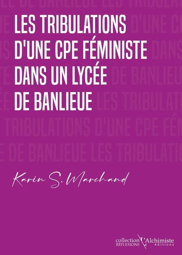 Les Tribulations d'une CPE féministe dans un lycée de banlieue : manuel d'action et de ressources