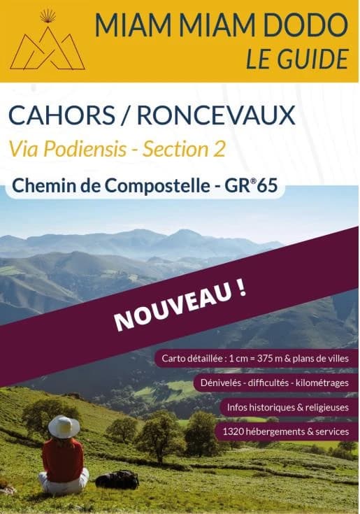 GR65, de Cahors à Saint-Jean-Pied-de-Port + traversée des Pyrénées jusqu'à Roncevaux : Miam miam dodo, Via Podiensis (Édition 2024) Lauriane Clouteau, Jacques Clouteau