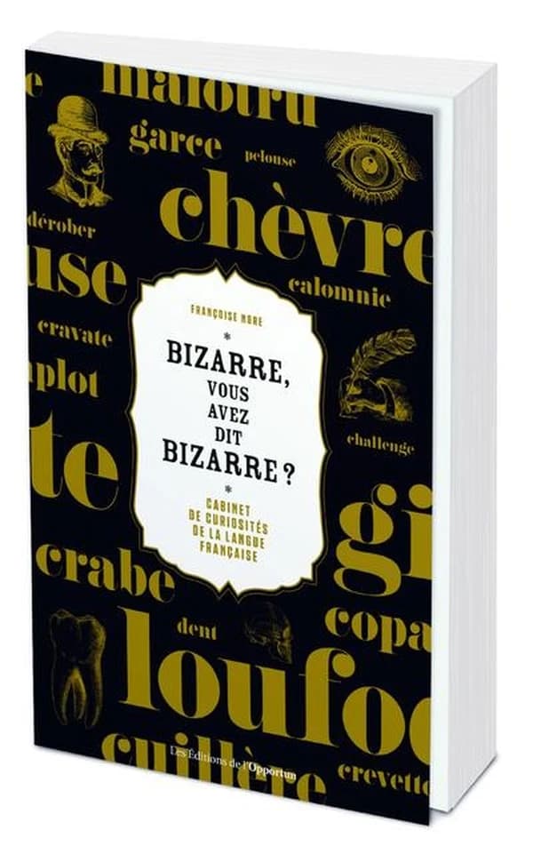Bizarre, vous avez dit bizarre : cabinet de curiosités de la langue française