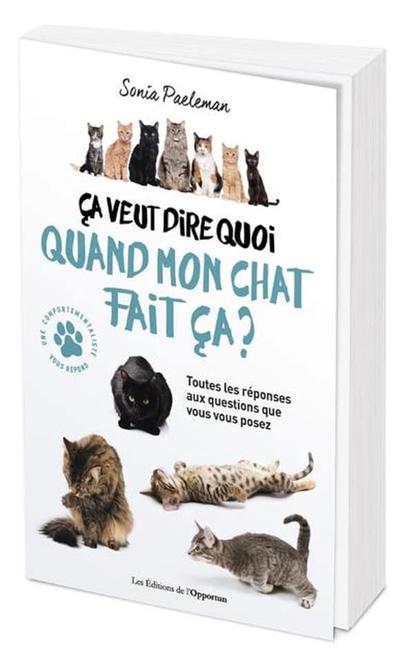 Ça veut dire quoi quand mon chat fait ça ? : livre quiz : 35 questions que vous vous posez sur votre chat et ses comportements