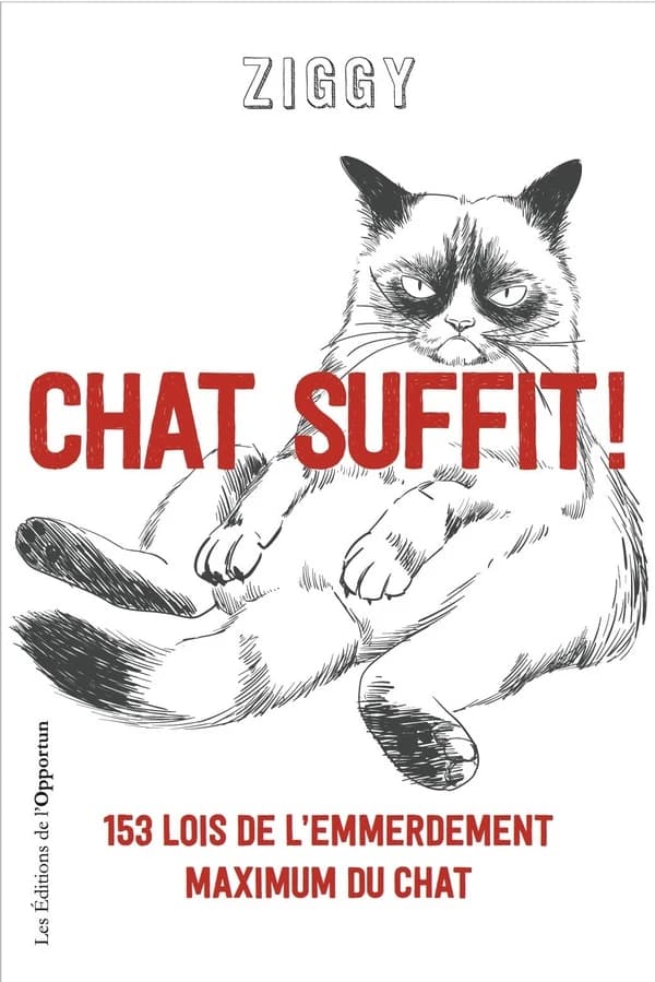 Chat suffit ! : 153 lois de l'emmerdement maximum du chat