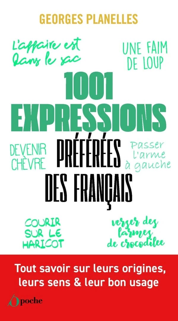Les 1 001 expressions préférées des français