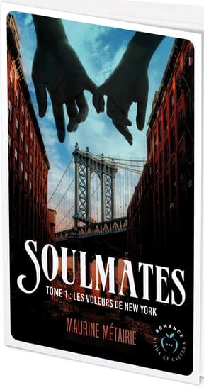 Les voleurs de New York