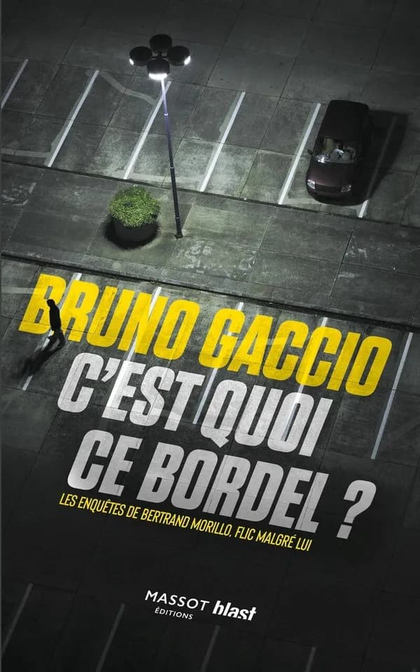 C'est quoi ce bordel ? Les enquêtes de Bertrand Morillo, flic malgré lui