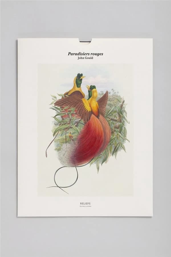Paradisiers rouges : édition illustrée : [Portfolio de reproductions]
