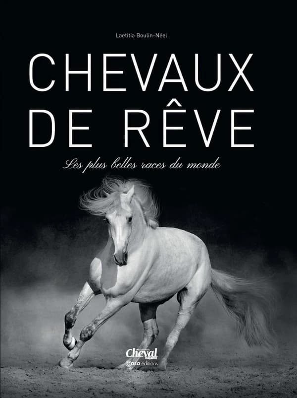Chevaux de rêves : les plus belles races du monde