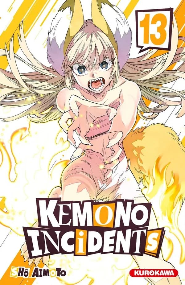 Kemono incidents. 13