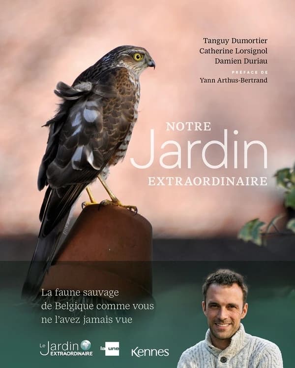 Notre jardin extraordinaire : la faune sauvage de Belgique comme vous ne l'avez jamais vue