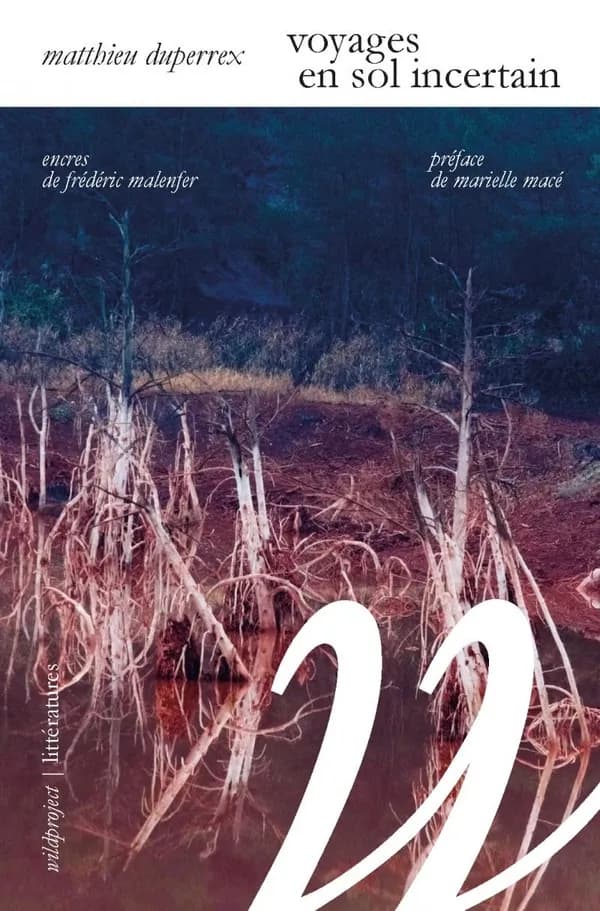 Voyages en sol incertain : enquête dans les deltas du Rhône et du Mississippi (Nouvelle éd.) Matthieu Duperrex ; avec 32 encres de Frédéric Malenfer ; préface de Marielle Macé à la nouvelle édition