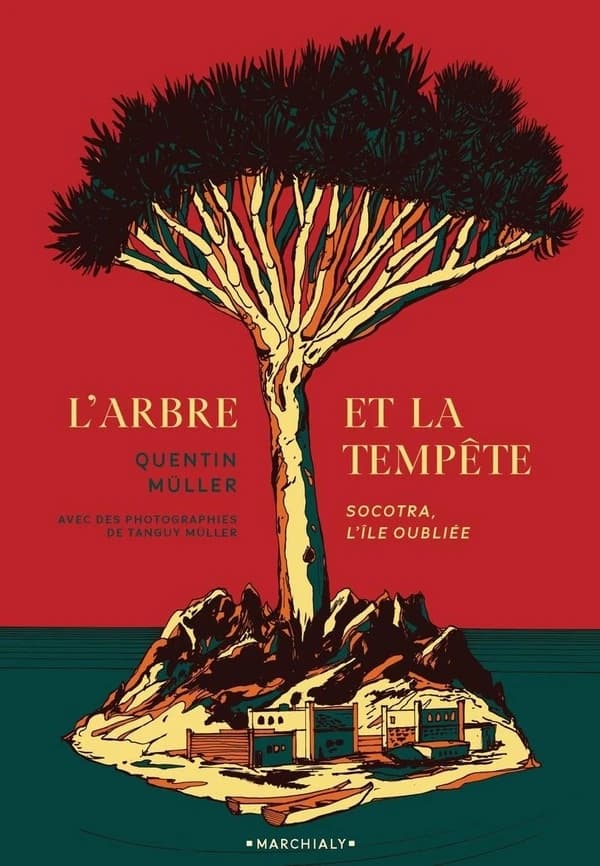 L'arbre et la tempête : Socotra, l'île oubliée