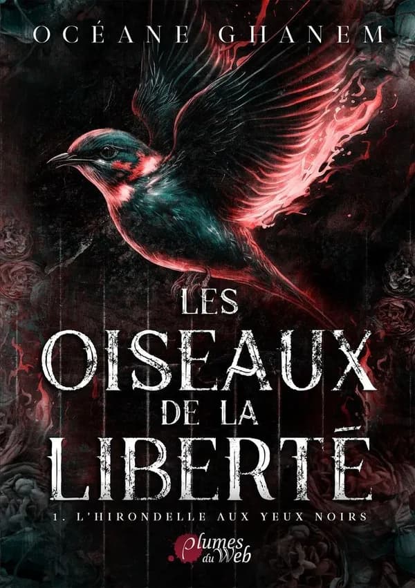 L'hirondelle aux yeux noirs