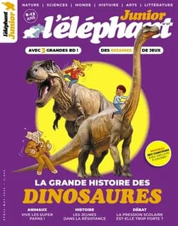 L'éléphant junior n.27