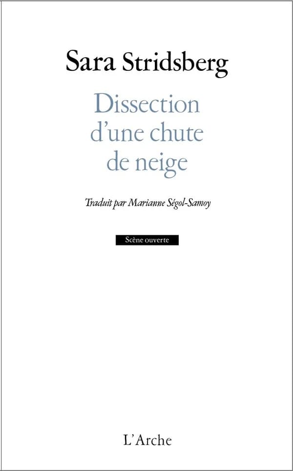 Dissection d'une chute de neige
