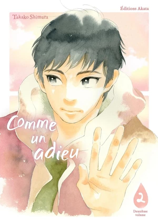 Comme un adieu. Deuxième volume
