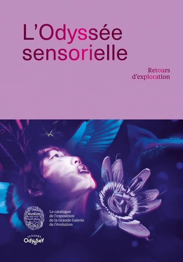 L'odyssée sensorielle - Retours d'exploration