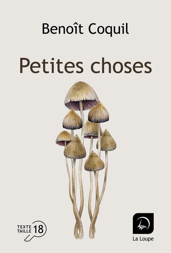 Petites choses ([Éd.] en gros caractères) Benoît Coquil