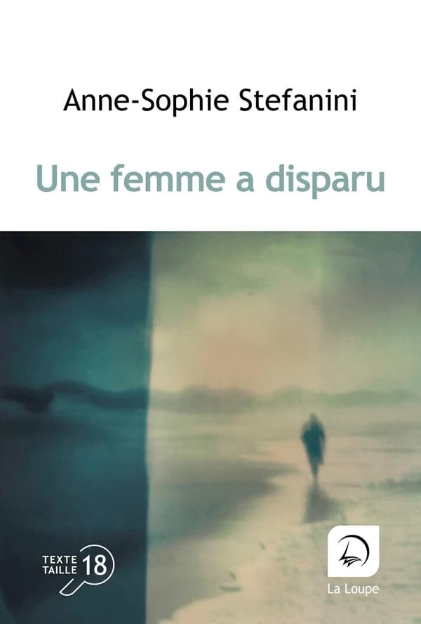 Une femme a disparu : roman ([Éd.] en gros caractères) Anne-Sophie Stefanini