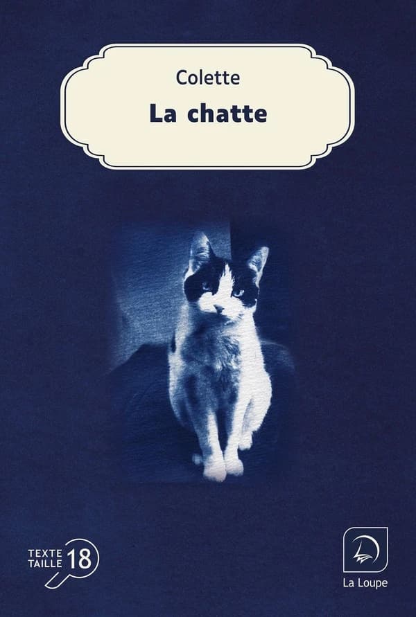 La chatte : roman ([Éd.] en gros caractères) Colette
