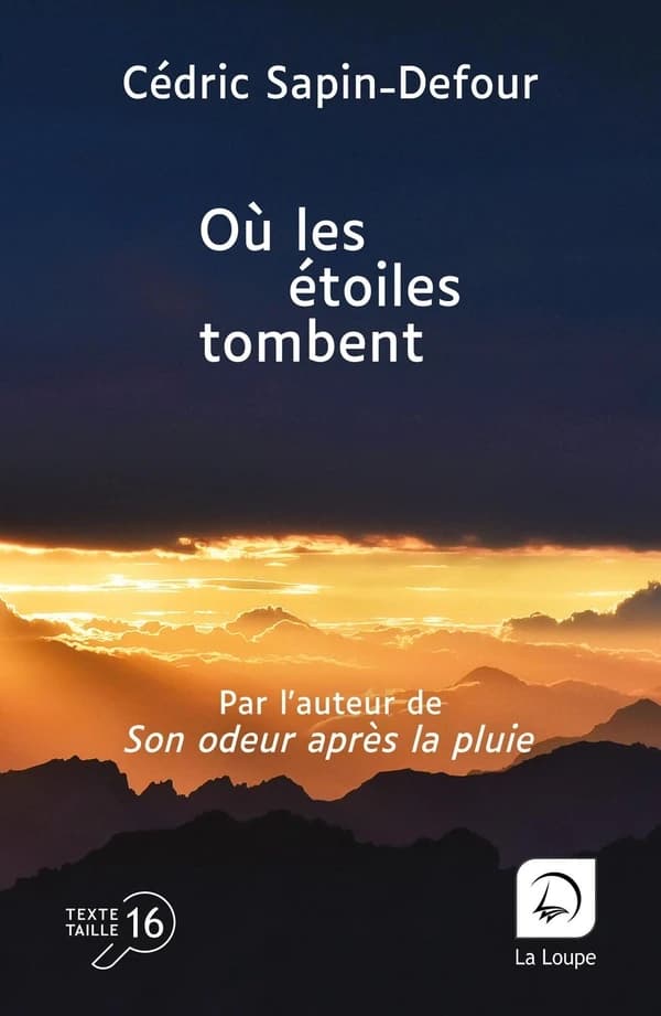 Où les étoiles tombent ([Éd.] en gros caractères) Cédric Sapin-Defour